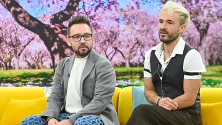 Członkowie zespołu Enej w "halo tu polsat"
