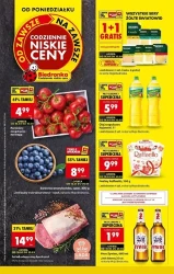 Świeże produkty w super cenach – Biedronka