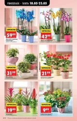 Świeże produkty w super cenach – Biedronka