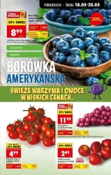 Świeże produkty w super cenach – Biedronka