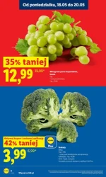 Zakupy, które się opłacają – Lidl