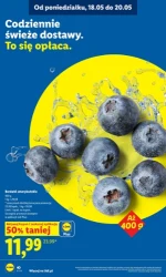 Zakupy, które się opłacają – Lidl