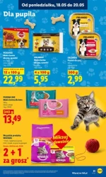 Zakupy, które się opłacają – Lidl