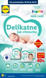 Zakupy, które się opłacają – Lidl