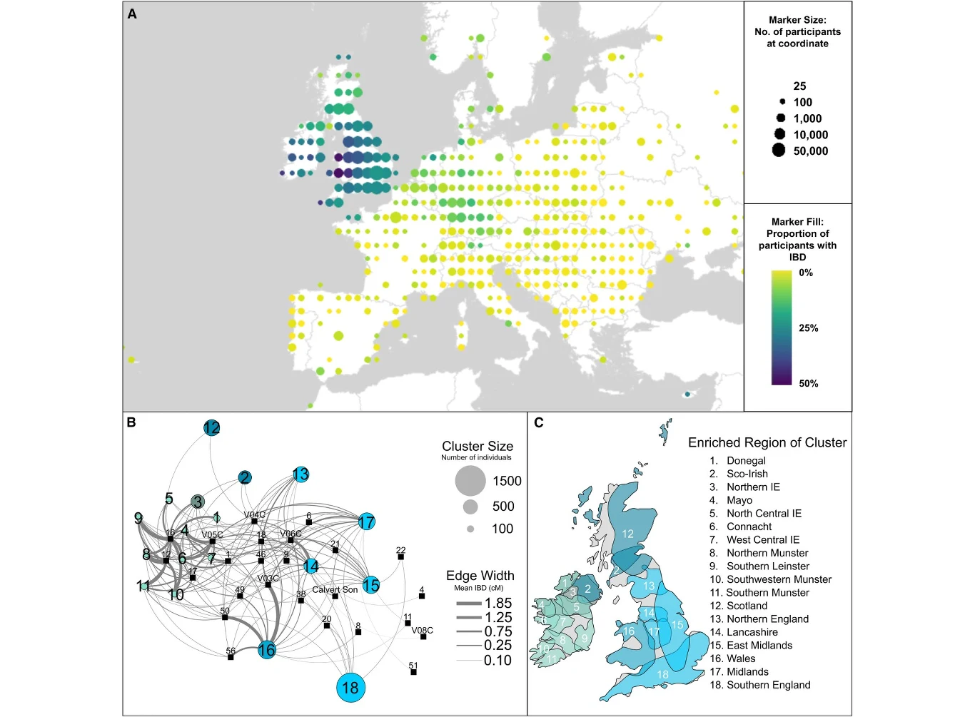 Mapa Europy z naniesionymi punktami o różnej wielkości i kolorze pokazuje rozmieszczenie uczestników badania, z przewagą większych i ciemniejszych znaczników w Wielkiej Brytanii i Irlandii; poniżej schemat sieciowy ilustruje połączenia i wielkość klast...
