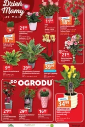 Top marki -  E.Leclerc