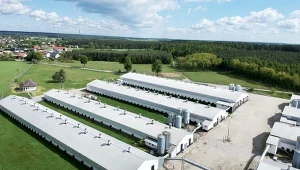 Polska produkuje najwięcej drobiu w UE. Branża z niepokojem patrzy na Chiny