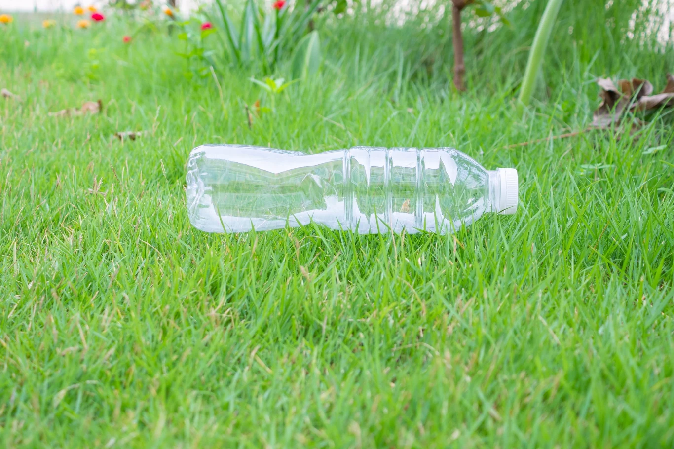 Wykorzystaj plastikową butelkę, by uporać się z mrówkami w ogrodzie. Jak działa ta domowa metoda? Plastikowa butelka leży na trawie w ogrodzie, przygotowana jako pułapka na mrówki.