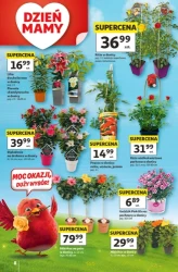 Zakupy pełne korzyści – Auchan Hipermarket