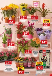Codzienne hity cenowe – Twój Market