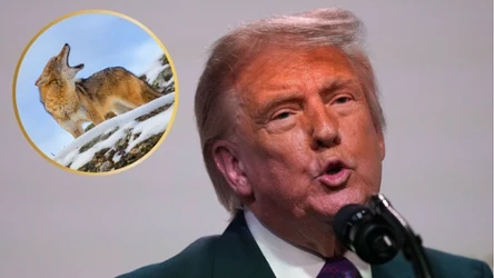 Za czasów prezydentury Donalda Trumpa amerykańska przyroda jest w odwrocie. To ciężkie dla niej czasy