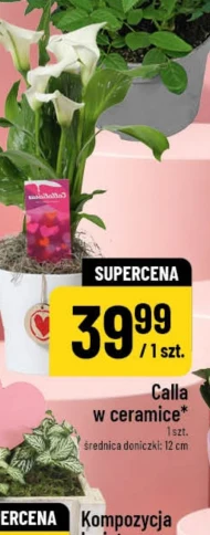 Calla CMI
