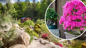 Mała Japonia w Karkonoszach. Orientalna podróż bez opuszczania Polski