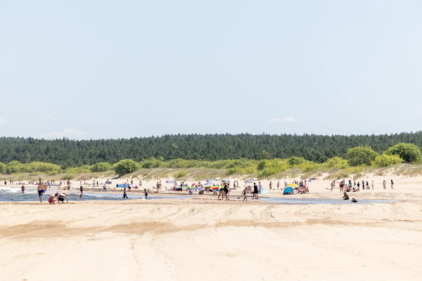 Spokojna miejscowość nad Bałtykiem. Tu spędzisz urlop z dala od tłumów Plaża w Mikoszewie na Mierzei Wiślanej. Spokojne nadmorskie miejsce z szeroką plażą, wydmami i lasami.