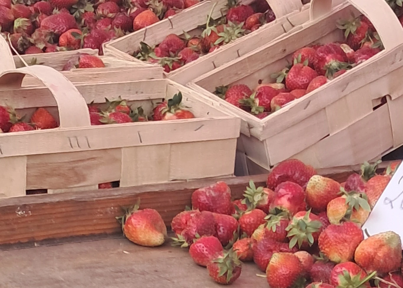 Ile kosztują truskawki na koniec maja? Ceny polskich truskawek będą najniższe w pełni sezonu, który przypada już na czerwiec.