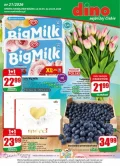 Hity zakupowe w super cenach – Dino