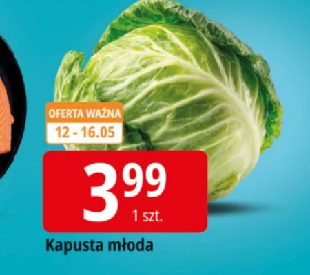 Молода капуста