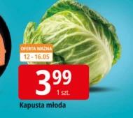 Молода капуста