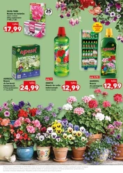 Wiosenne inspiracje! - Kaufland