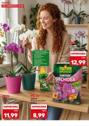 Wiosenne inspiracje! - Kaufland