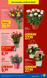 Codziennie świeże dostawy! - Lidl