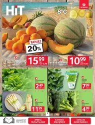 Wszystkie kolory smaku! - Selgros