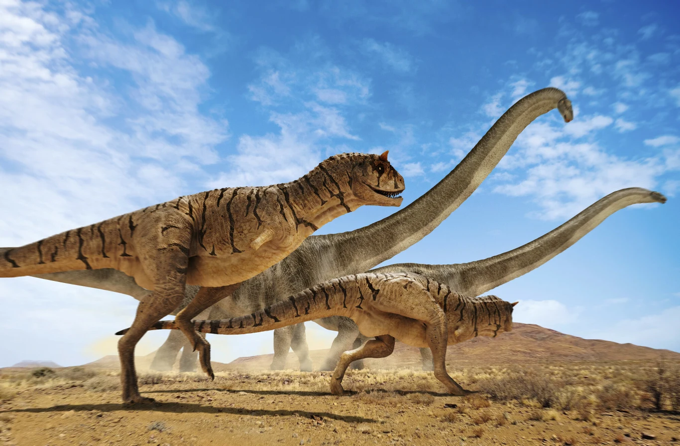 Dwa drapieżne dinozaury biegną po suchym, piaszczystym terenie, w tle dwie masywne roślinożerne zauropody z charakterystycznie wydłużonymi szyjami.