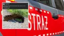Groźne zapadlisko w Konradowie