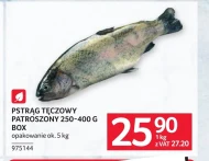 Pstrąg tęczowy Ok.