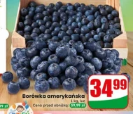 Borówka amerykańska K!
