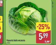 Kapusta biała