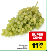 Winogrona