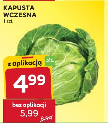 Капуста