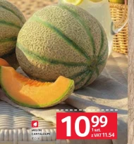 Melon Cantaloupe
