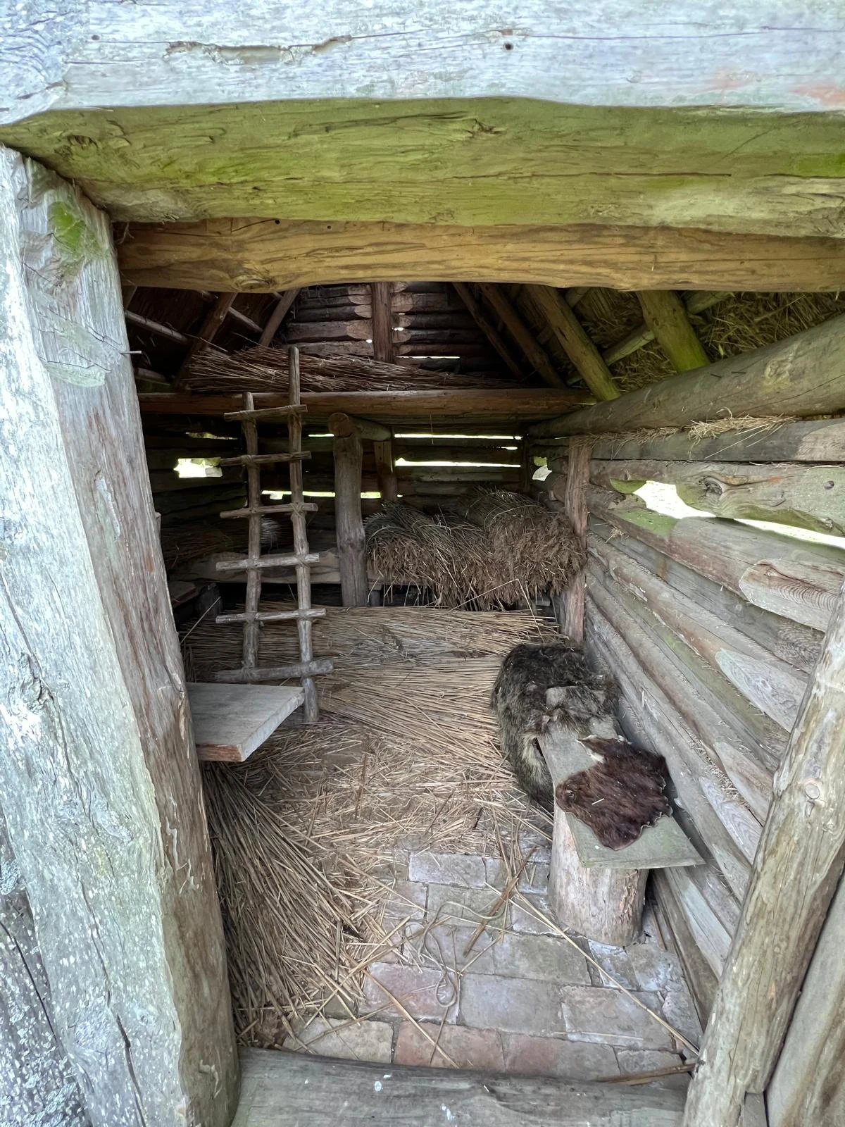 Wnętrze drewnianej szopy ze ścianami z bali i dachem krytym strzechą, na ziemi rozrzucona słoma, po lewej stronie prosty drewniany drabinek, w głębi stos siania i prymitywne łóżko przykryte futrem.