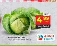 Kapusta młoda Agro Hurt