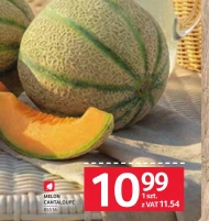 Melon Cantaloupe