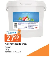 Ser Temar