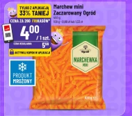 Marchewka Zaczarowany Ogród