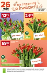 Wiosenne okazje blisko ciebie - Stokrotka