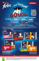 Wiosenne okazje blisko ciebie - Stokrotka