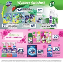 Dzień matki i dziecka - Stokrotka