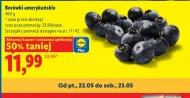 Borówki amerykańskie