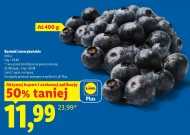 Borówki amerykańskie Plus-Plus