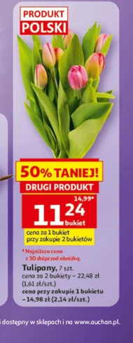 Bukiet tulipanów Tulipany