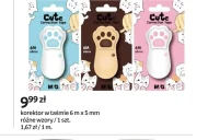 Korektor Cute