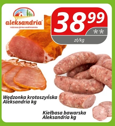Коптильня Aleksandria