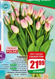 Bukiet tulipanów Tulipany
