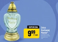 Znicz