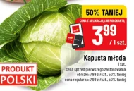 Молода капуста Polski